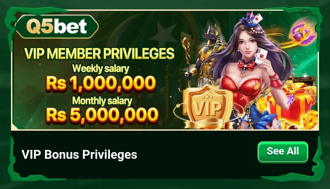 Q5Bet Game VIP Member Salary Bonus
